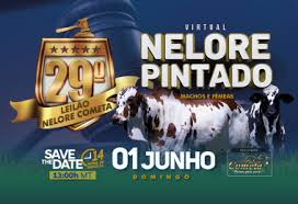 47º Leilão Nelore Cometa — Genética de Elite