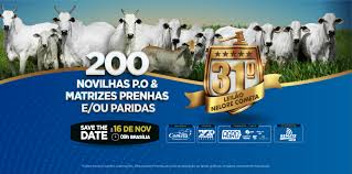 ExpoZebu 2026 — Participação Oficial